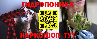 гидра Заволжье