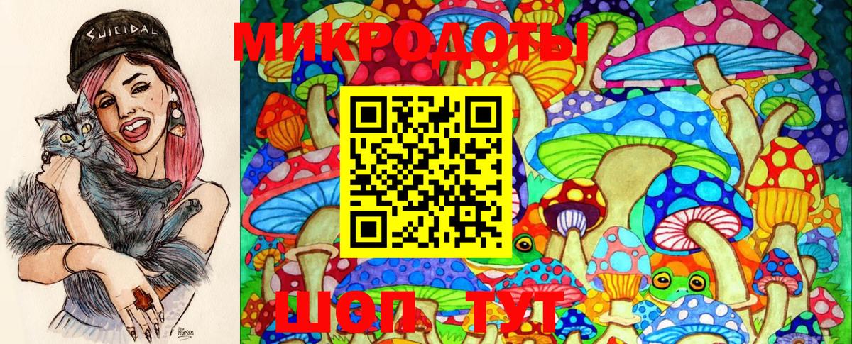 Псилоцибиновые грибы MAGIC MUSHROOMS  Псилоцибиновые грибы MAGIC MUSHROOMS  Вход с VPN  Новокуйбышевск 