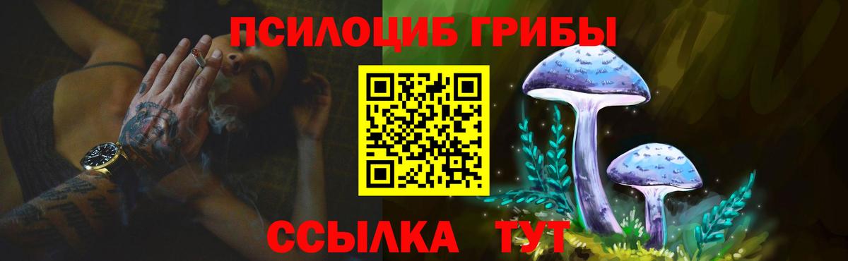 Псилоцибиновые грибы Cubensis Новокуйбышевск